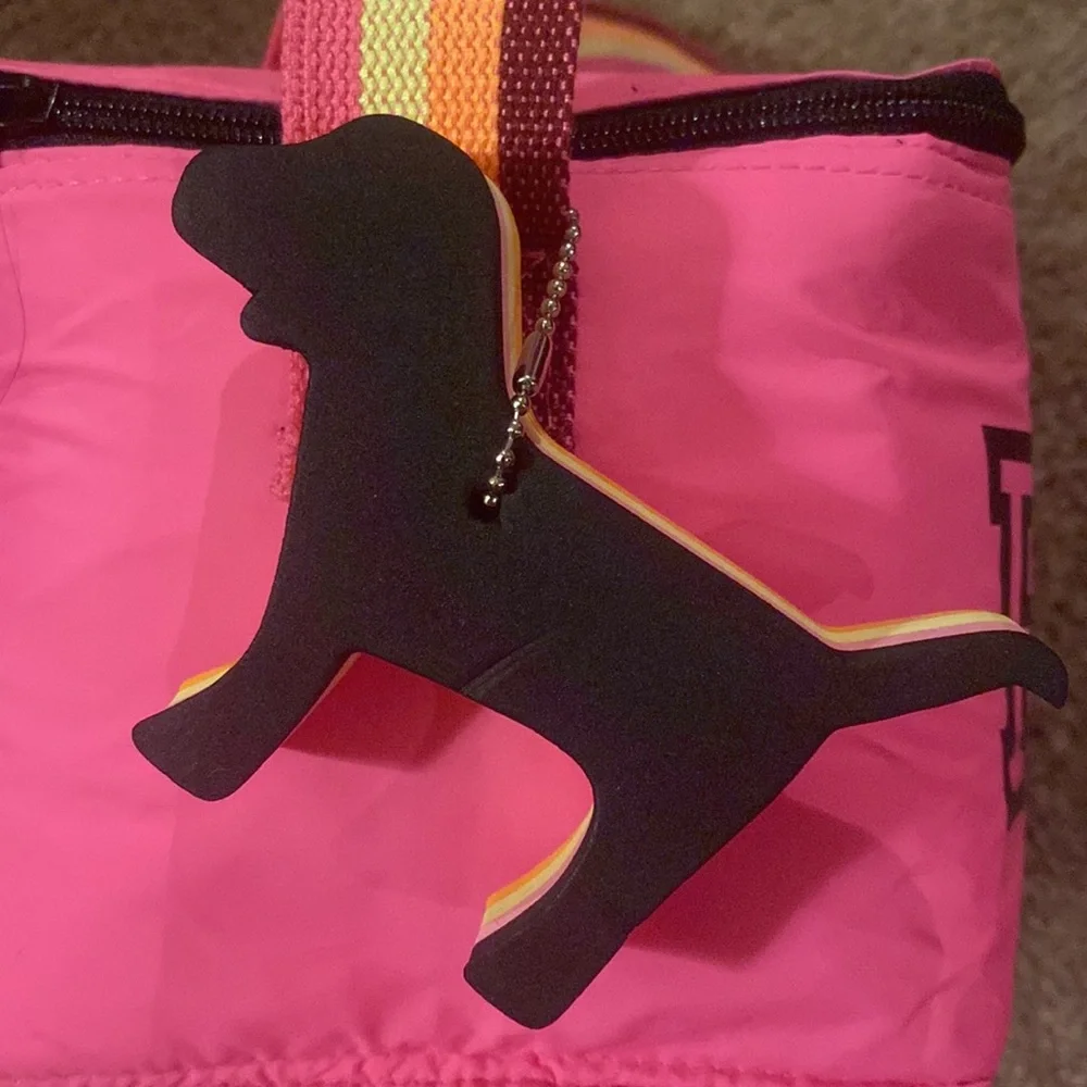Soft sided PINK beach cooler - Picture 4 of 6